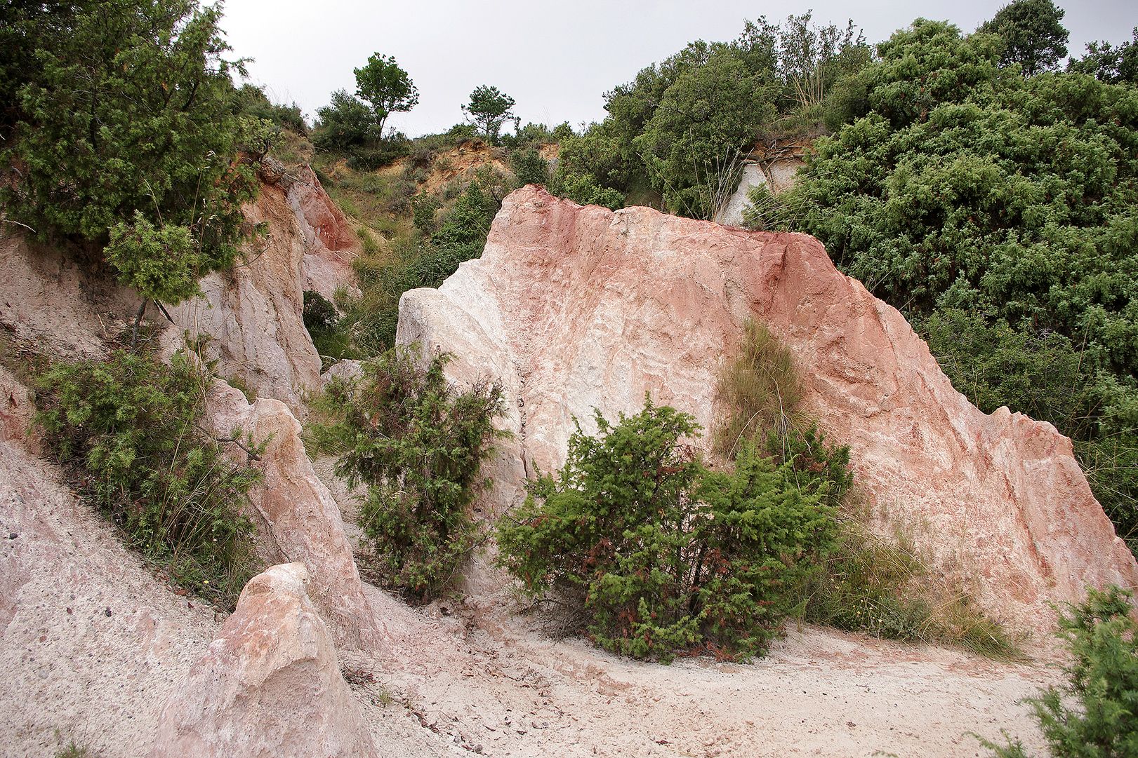  Afloramiento de arenas de Utrillas, de edad Albiense (hace 113-100 millones de años), del Cretácico Inferior. Cellorigo, cerca de La Ventilla o paso de La Morcuera.