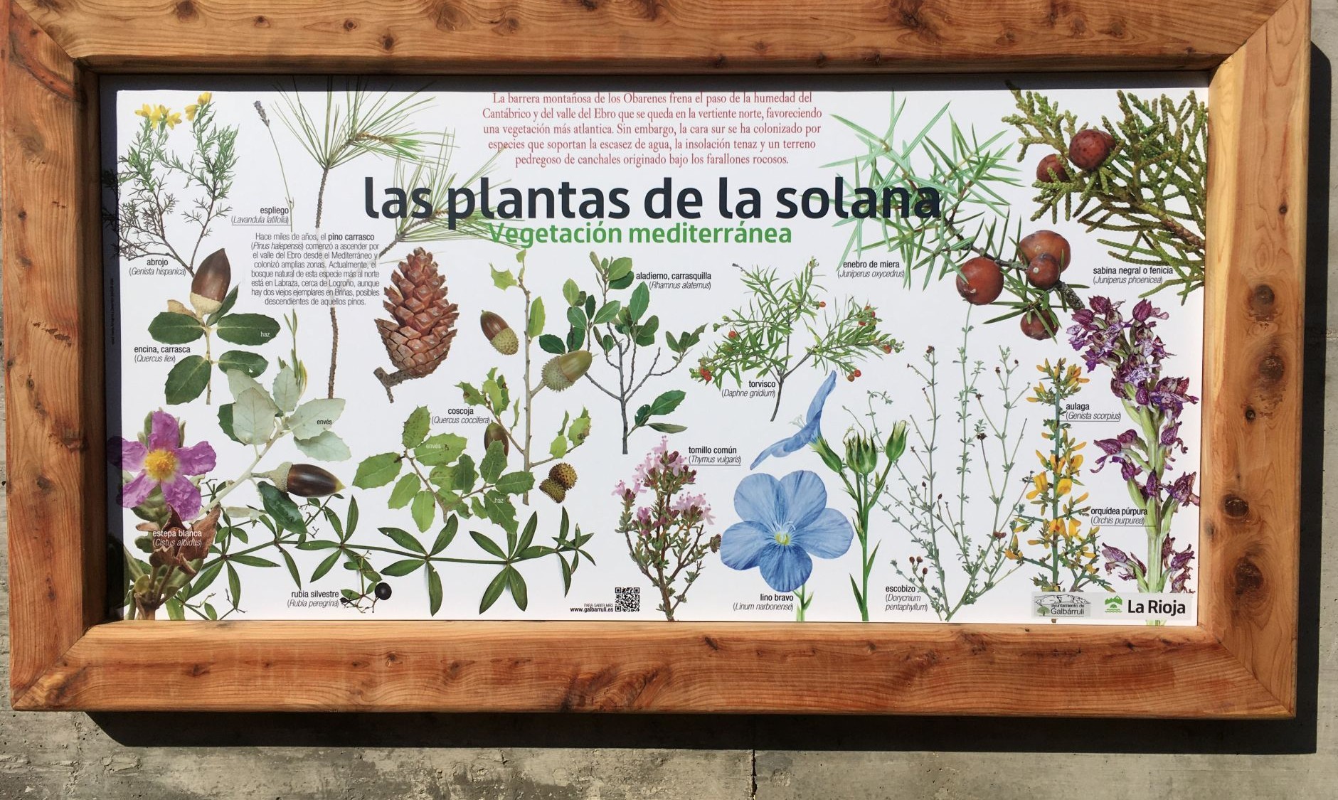  Cartel de la jardinera que encontraréis en Galbárruli con plantas mediterráneas.